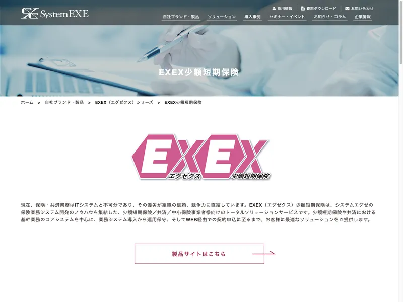 EXEX（エグゼクス）少額短期保険