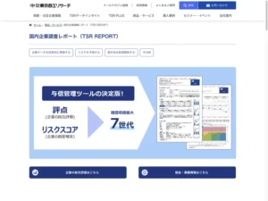 国内企業調査レポート